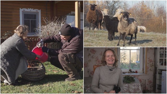 Šeima nusprendė gyvenimą tęsti kaime: džiaugiasi mažu ūkiu ir augina ėriukus
