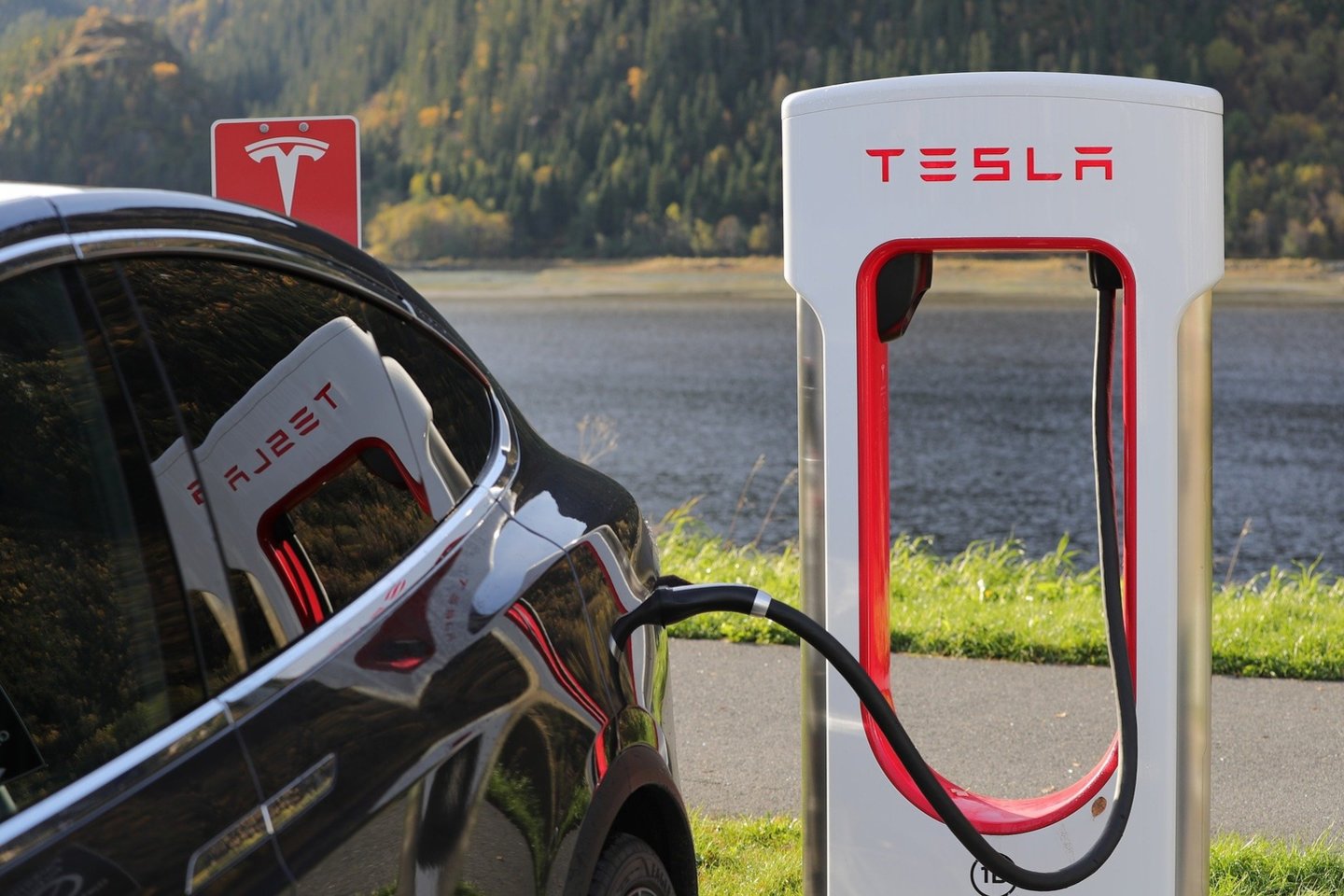 Elektromobilius gaminanti „Tesla“ gali sulaukti rimto konkurento.<br>www.pixabay.com nuotr.