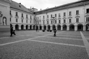 Nerimauja dėl lietuvių kalbos prestižo: kreipėsi į Vilniaus universitetą, kad atsargiau vertintų kalbinius eksperimentus