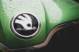 Dėl neatsargumo „Škodos“ vairuotojas pateko į nepavydėtiną situaciją: iki pusės apsemtą automobilį traukė ugniagesiai