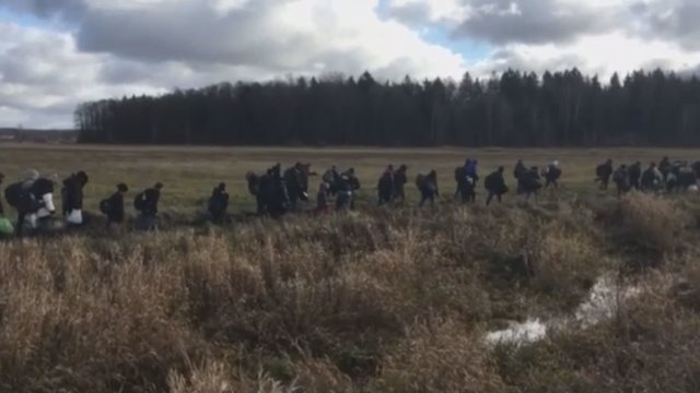 Užfiksuota 70 neteisėtų migrantų grupė: baltarusių pareigūnai galimai jėga atvežė nuo sienos su Lenkija