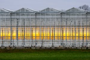 COP26 konferencijos dalyviai pasiekė kompromisinį klimato susitarimą