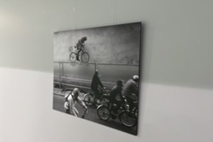 SEB arenos erdvėse – „Lietuvos ryto“ fotomenininko Ramūno Danisevičiaus paroda