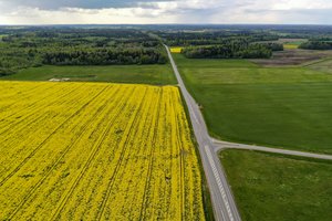 Tarp įvairių kitų žemėtvarkos eksperto veiklų – ir grąža savajam universitetui