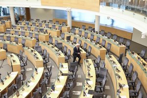 Dėl nepaprastosios padėties stringa Konstitucijos pataisos: gali tekti daryti pertrauką?