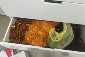 Prekeiviai gintaru jį pirko ne tik iš nakvynės namų gyventojų, bet ir iš mirusiųjų