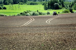 Žemės ūkio ministerija turi palankių žinių pievas išarusiems ūkininkams