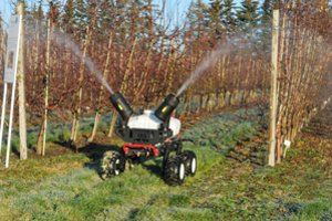 Lietuvos sodininkai pirmieji Baltijos šalyse įdarbins inovatyviausius robotus