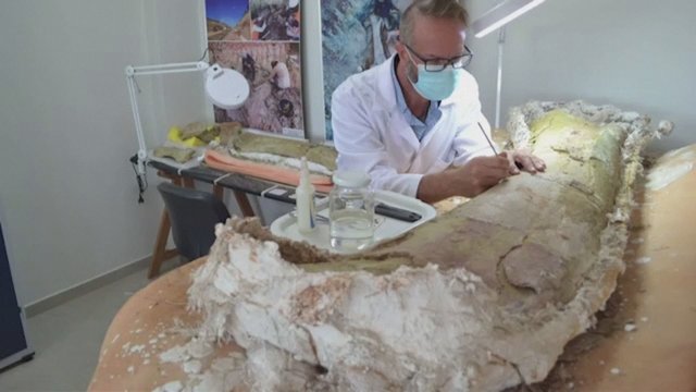 Stebinantis atradimas Brazilijoje: tyrėjai aptiko galimai naujų dinozaurų rūšių kaulų
