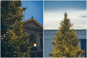 Klaipėdoje Kalėdos šiemet bus kitokios: miesto centre puoš vos pusės metro aukščio eglę