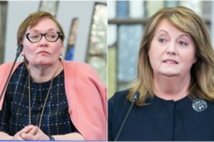 Kritikuoti nevengianti V. Blinkevičiūtė sulaukė kirčio atgal: „Ji yra muilo burbulas“