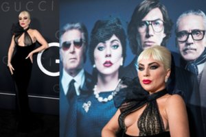 Drąsus Lady Gagos įvaizdis nepaliko vietos fantazijai: elegantiška suknelė vos dengė krūtis