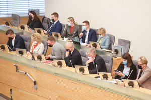 Komunikacijos ekspertas ragina Vyriausybę: kelkite užpakalius ir važiuokite