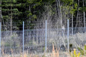 Praėjusią parą į Lietuvą neįleistas 71 migrantas, iš viso jau neįleistų – 7 tūkstančiai