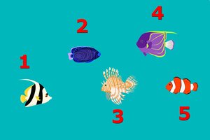 Pasirinkite žuvelę: štai koks jūsų vidinis pasaulis