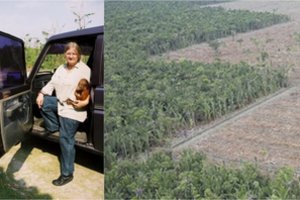 Birutė Galdikas: „Mes tikrai galime padaryti bent kažką, kad apsaugotume savo aplinką“