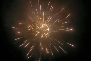 Olandija per Naujuosius metus vėl uždraudžia fejerverkus