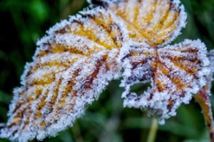 Vėjuotas dienas keis vėsios naktys: atvės iki 7 laipsnių šalčio