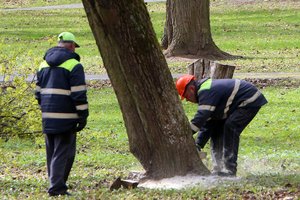Viskas, ką reikia žinoti įvykus nelaimingam atsitikimui darbe: kokios išmokos priklauso ir į ką kreiptis