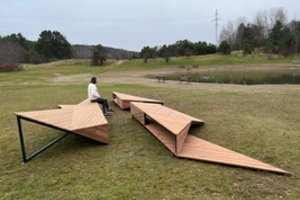 Vilniečius suerzinę prabangūs, 20 tūkst. eurų kainavę suoliukai jau puošia paežerę