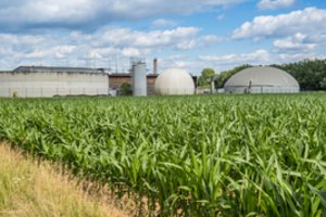 Prie Panevėžio iškils pirmoji šalyje biometano jėgainė: gamins iš gyvulių mėšlo ir žemės ūkio atliekų