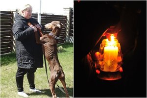 Palangoje per tragišką avariją žuvo Klaipėdos „Nuaro“ vadovė ir jos vyras