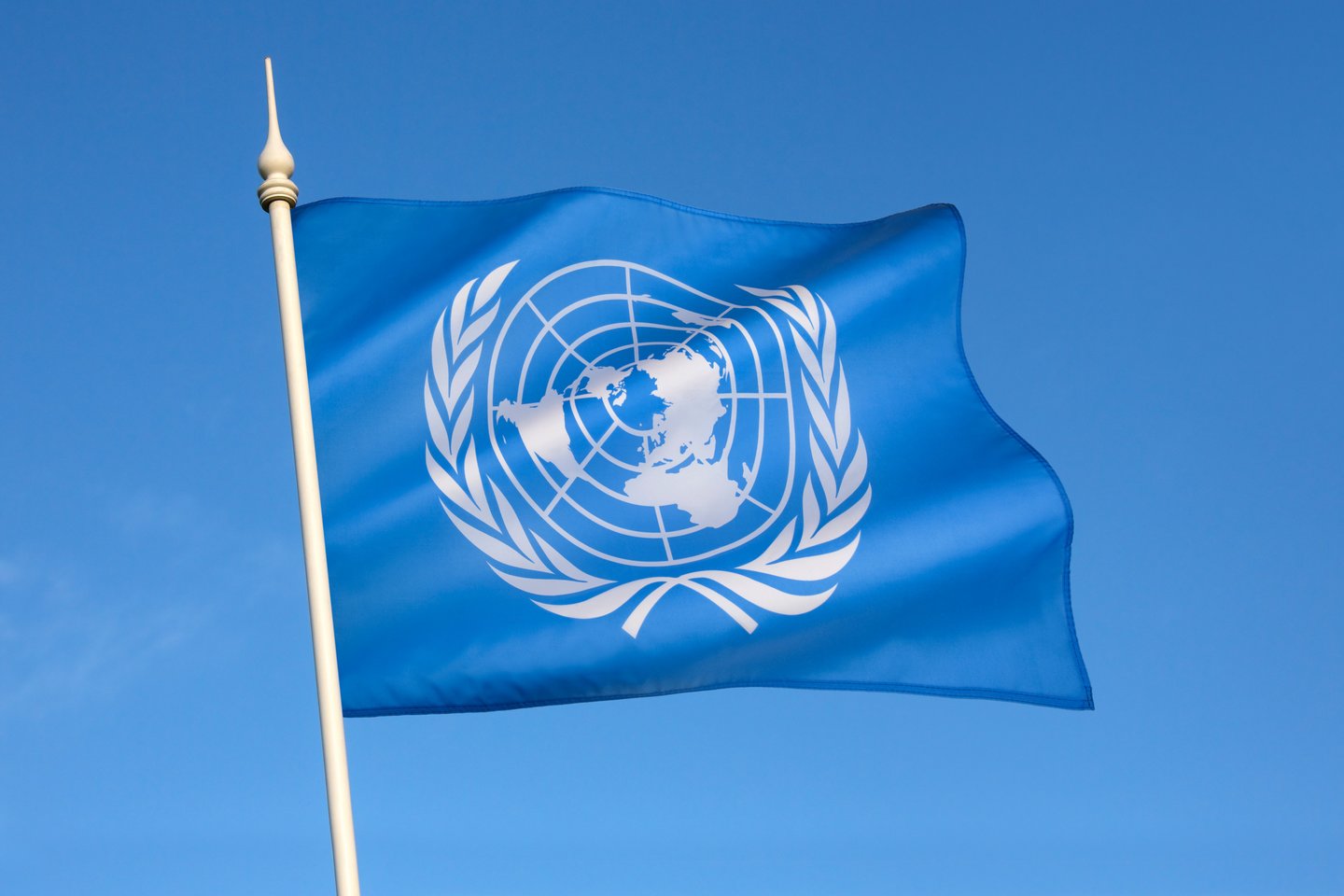 Jungtinių tautų vėliava.<br>123rf.com nuotr.