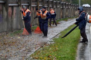 Rado spragų užimtumo sistemos reformoje: šeši mėnesiai susirasti darbą – per mažai
