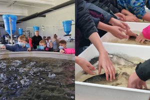 Lietuva gali tapti žuvininkystės šalimi