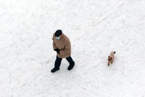 „Sodra“ jau moka vienišo asmens išmokas: perspėja atsiimti laiku