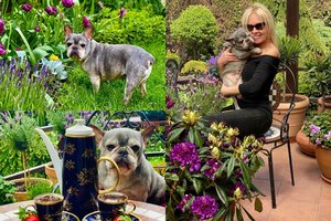 Audronė Bunikienė atvėrė širdį apie savo augintinę: „Ją man atsiuntė likimas“