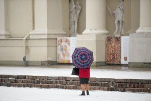 I. Šimonytė: pensijų priklausomybė nuo stažo išlieka