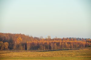 Miškų kontrolė jau keturi mėnesiai patikėta Aplinkos apsaugos departamentui – miškai saugomi dvigubai atidžiau