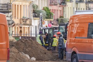 Dalis ekspertų įžvelgia kitokią užimtumo sistemos pertvarką: negrįžkime į sovietinius laikus