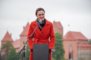 V. Čmilytė-Nielsen kviečia prisijungti prie kampanijos prieš smurtą prieš moteris