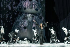 Pasaulio scenose karaliaujantis „Spragtukas“ šlovės laukė pusę amžiaus