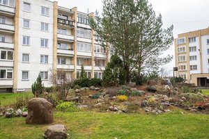 Išpuoselėti panevėžiečio gėlynai supykdė daugiabučio kaimynus