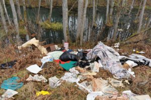 Aplinkosaugininkai tikisi nustatyti miško šiukšlintoją: jam gresia iki 1,5 tūkst. eurų bauda