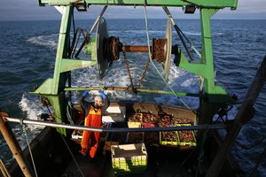 Tęsiantis ginčui su Jungtine Karalyste prancūzų žvejai blokavo eismą keliuose uostuose