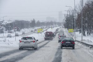 Vairuotojai šnairuoja į kelininkų barstomą druską – specialistas paaiškino, kada ji kenkia labiausiai