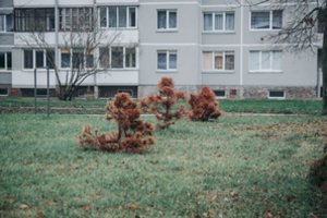 Kaip gyvas priekaištas stovi nuo pavasario –  Kėdainiuose nėra kam viso to pakeisti