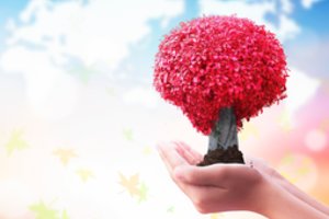 Registruotas antrasis donoras šią savaitę: jo organai ir audiniai išgelbės ne vieną