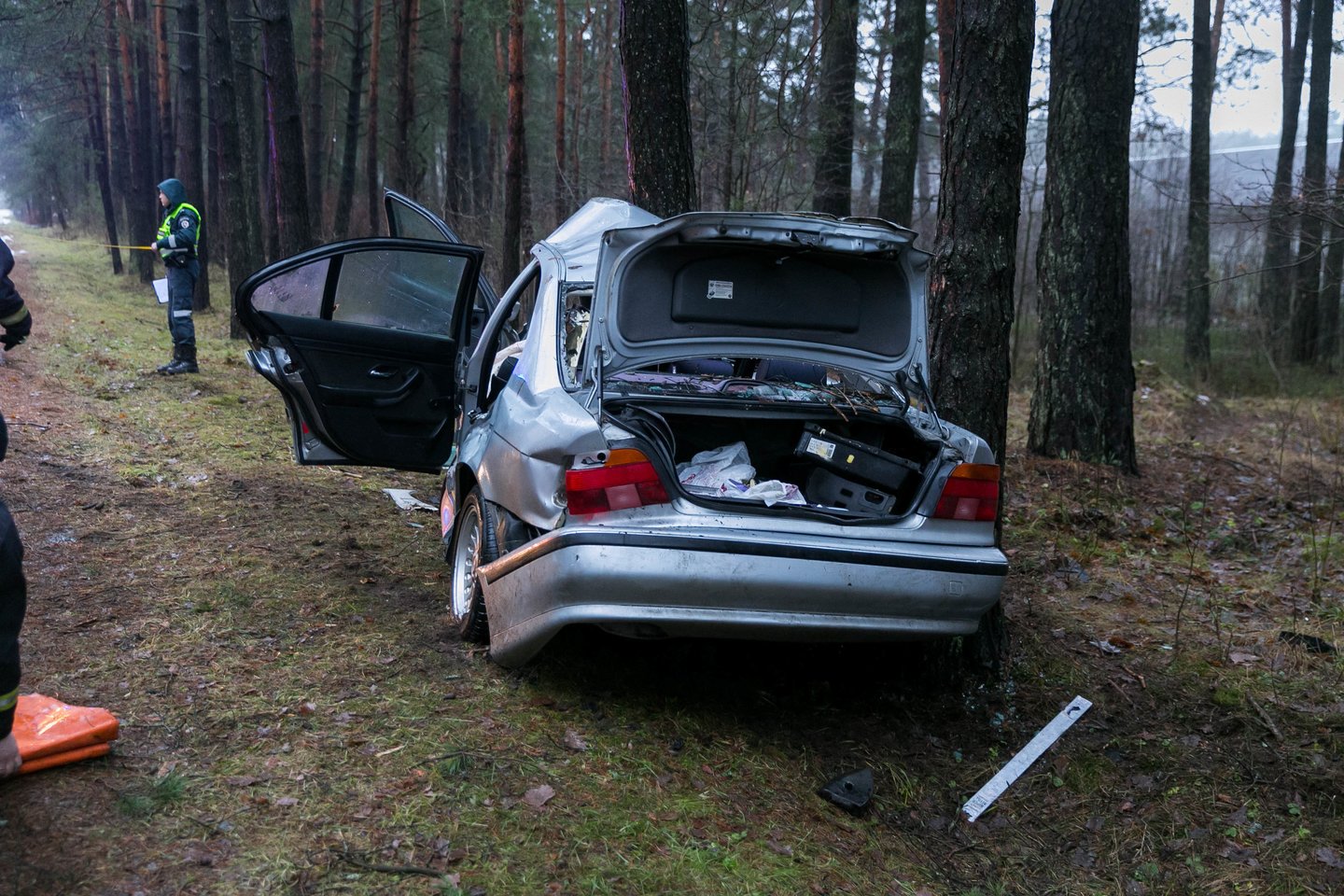 BMW vairuotojas rėžėsi į medį. <br> T.Bauro asociatyvioji nuotr. 