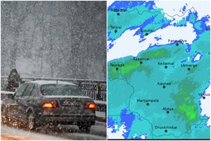 Sinoptikai perspėja: Lietuvą užvers sniegu, kai kur kils pūga