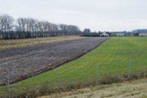 Žemdirbiams – galvos skausmas dėl suartų pievų