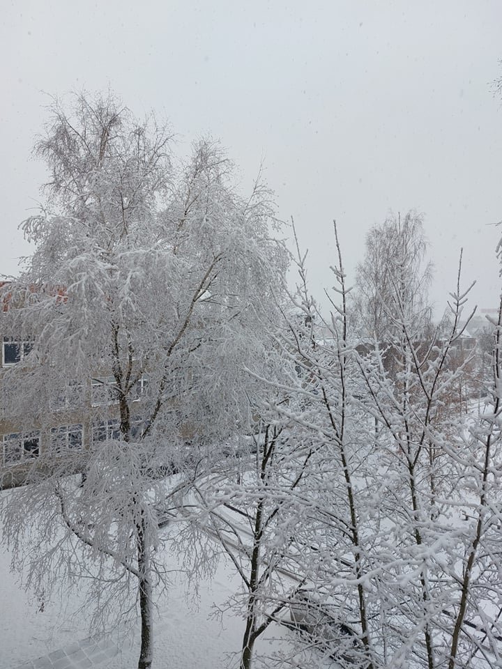 Sniegas Panevėžyje. <br>E.Jusytės nuotr. 