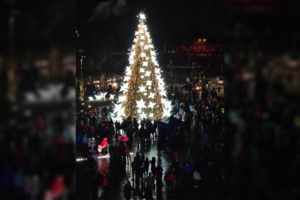 Šventinę nuotaiką Akmenės krašte paskleidė šimtais žvaigždžių papuošta Kalėdų eglė