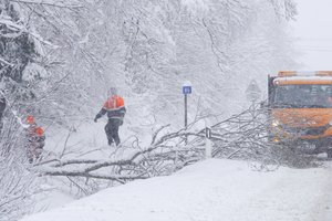Per parą ugniagesiai atliko apie 60 gelbėjimo darbų: ant kelio virto medžiai, sniege klimpo automobiliai 