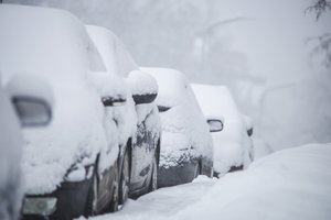 Aplinkosaugininkai primena: automobilius statyti nežalojant aplinkos reikia ir žiemą