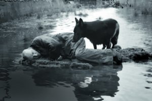 Filmo „Stalkeris“ prakeiksmas – daug kūrėjų mirė netrukus po filmavimo